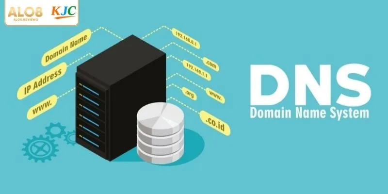 Giải mã tải DNS (1.1.1.1) là gì?