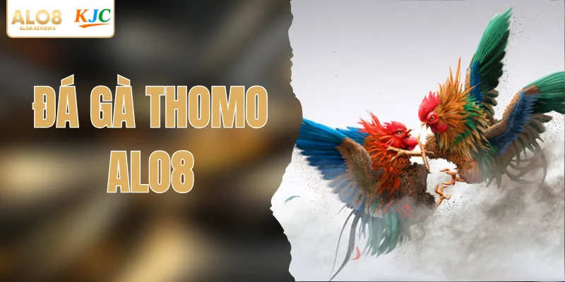 Đá Gà Thomo – Trực Tiếp Tốc Độ Cao, Cập Nhật Tỷ Lệ Minh Bạch